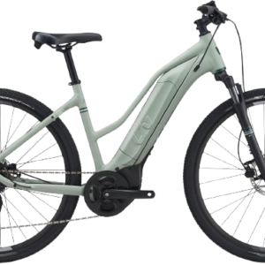 Giant Roam E+